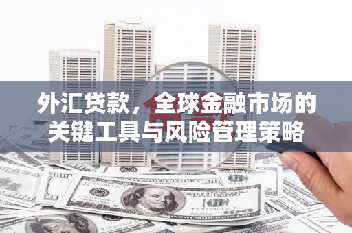 凉城外汇贷款，全球金融市场的关键工具与风险管理策略