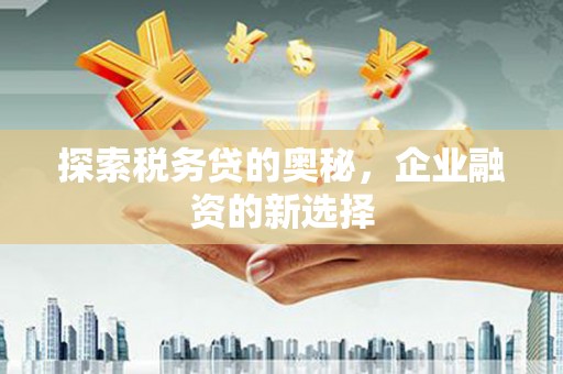 凉城探索税务贷的奥秘，企业融资的新选择