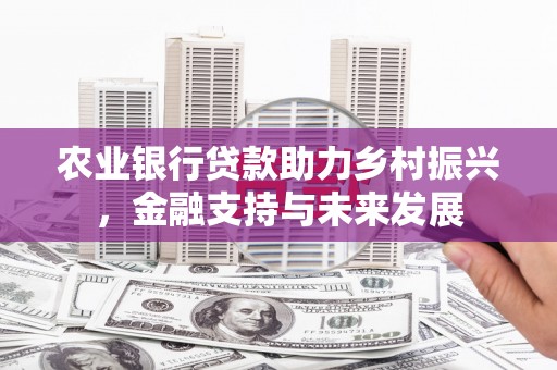 凉城农业银行贷款助力乡村振兴，金融支持与未来发展