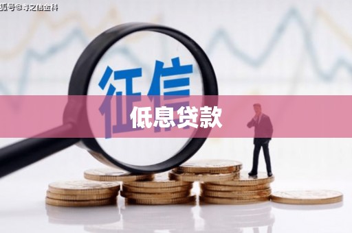 凉城低息贷款