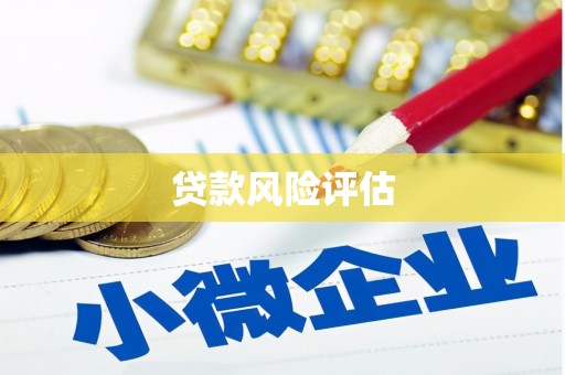 凉城贷款风险评估