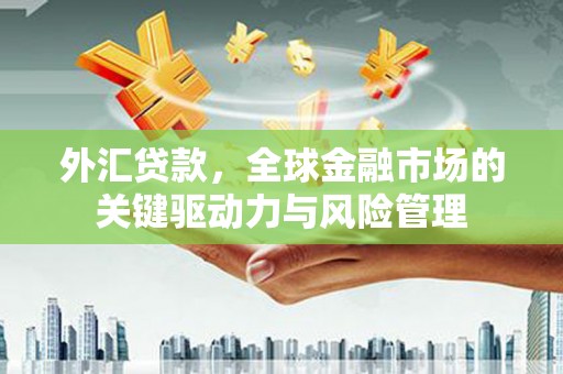 凉城外汇贷款，全球金融市场的关键驱动力与风险管理