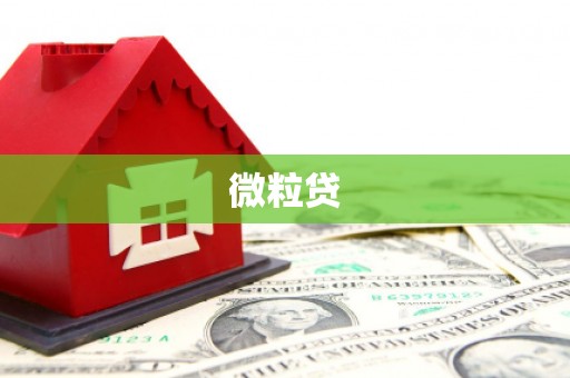 凉城微粒贷
