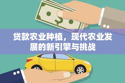 凉城贷款农业种植，现代农业发展的新引擎与挑战