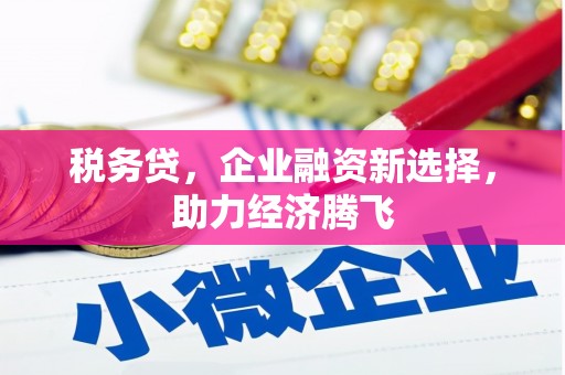 凉城税务贷，企业融资新选择，助力经济腾飞