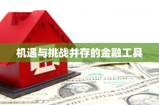 凉城机遇与挑战并存的金融工具