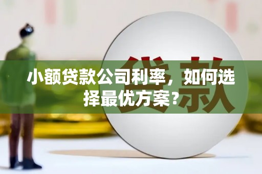 凉城小额贷款公司利率，如何选择最优方案？