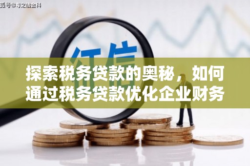 凉城探索税务贷款的奥秘，如何通过税务贷款优化企业财务