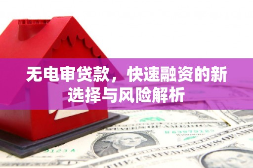 凉城无电审贷款，快速融资的新选择与风险解析