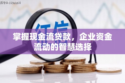 凉城掌握现金流贷款，企业资金流动的智慧选择