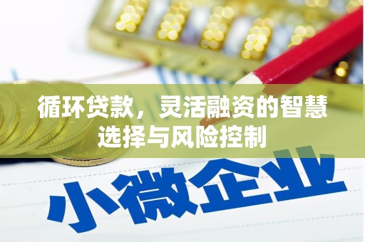 凉城循环贷款，灵活融资的智慧选择与风险控制
