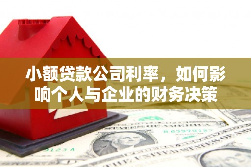 凉城小额贷款公司利率，如何影响个人与企业的财务决策