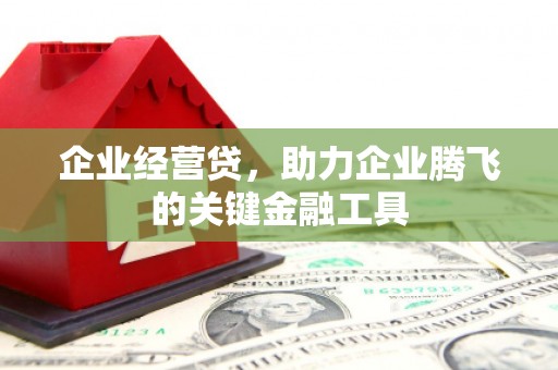 凉城企业经营贷，助力企业腾飞的关键金融工具