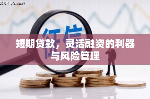 凉城短期贷款，灵活融资的利器与风险管理