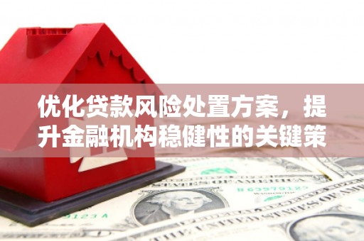 凉城优化贷款风险处置方案，提升金融机构稳健性的关键策略