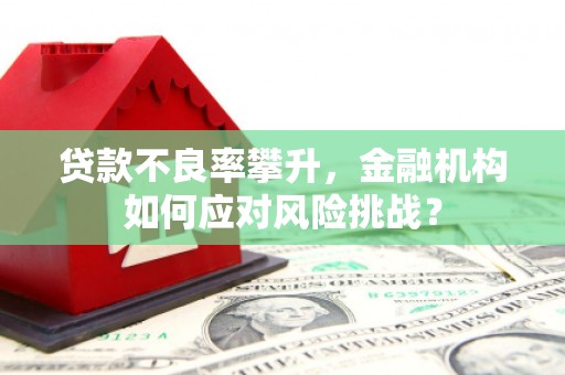 凉城贷款不良率攀升，金融机构如何应对风险挑战？