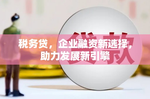 凉城税务贷，企业融资新选择，助力发展新引擎