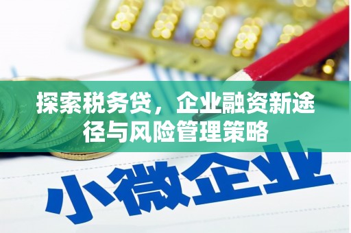 凉城探索税务贷，企业融资新途径与风险管理策略