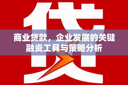 凉城商业贷款，企业发展的关键融资工具与策略分析