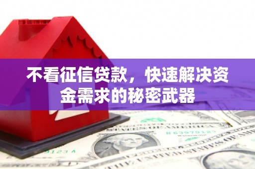 凉城不看征信贷款，快速解决资金需求的秘密武器