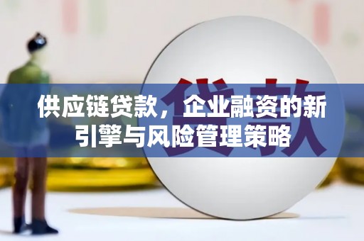 凉城供应链贷款，企业融资的新引擎与风险管理策略