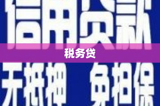 凉城税务贷
