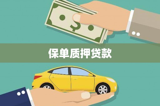 凉城保单质押贷款