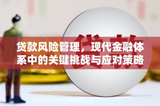 凉城贷款风险管理，现代金融体系中的关键挑战与应对策略