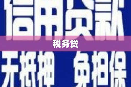 凉城税务贷