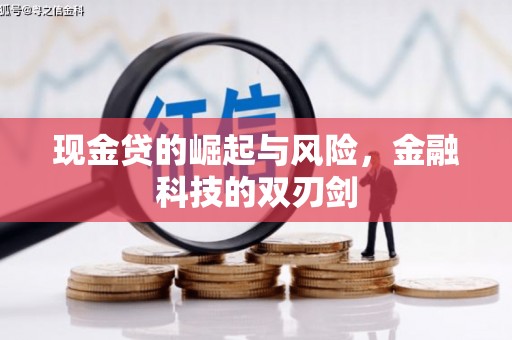 凉城现金贷的崛起与风险，金融科技的双刃剑