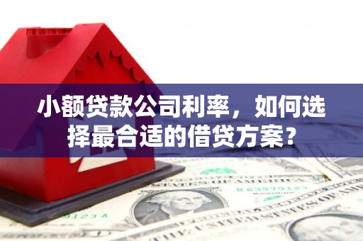 凉城小额贷款公司利率，如何选择最合适的借贷方案？