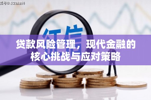 凉城贷款风险管理，现代金融的核心挑战与应对策略