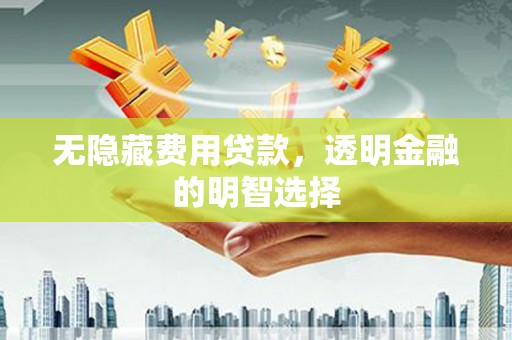 凉城无隐藏费用贷款，透明金融的明智选择