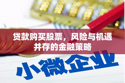凉城贷款购买股票，风险与机遇并存的金融策略