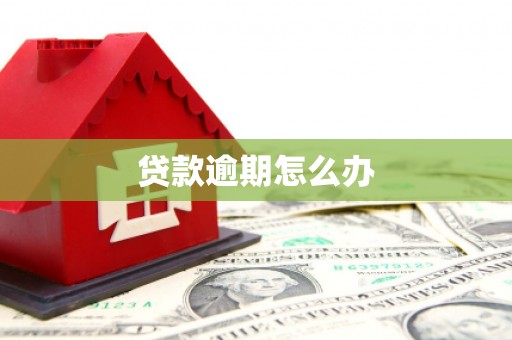 凉城贷款逾期怎么办
