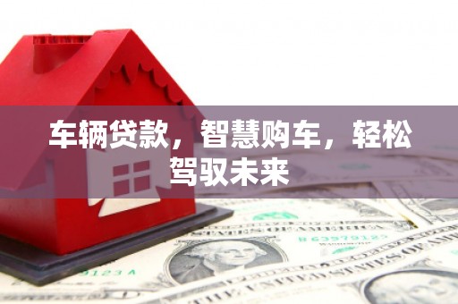 凉城车辆贷款，智慧购车，轻松驾驭未来