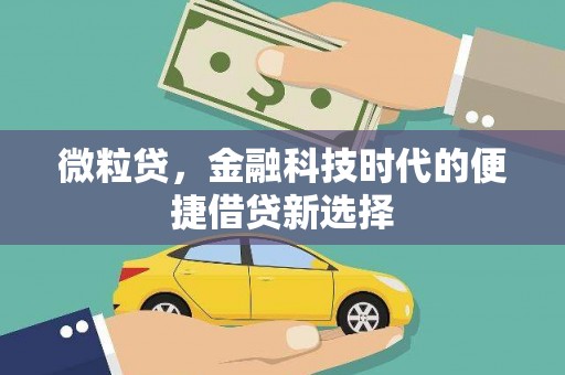 凉城微粒贷，金融科技时代的便捷借贷新选择
