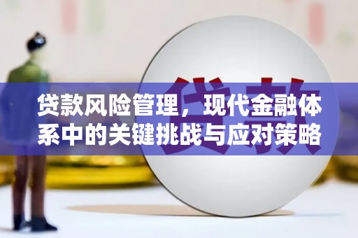 凉城贷款风险管理，现代金融体系中的关键挑战与应对策略