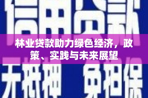 凉城林业贷款助力绿色经济，政策、实践与未来展望