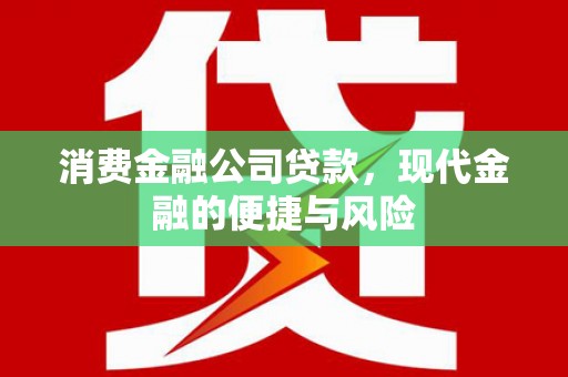 凉城消费金融公司贷款，现代金融的便捷与风险