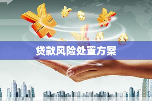 凉城贷款风险处置方案