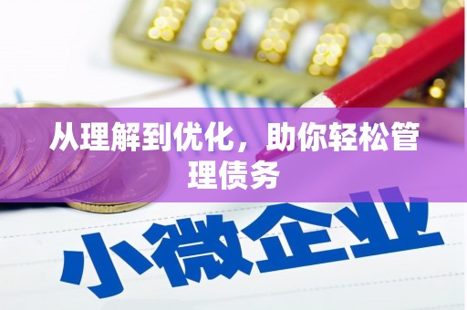 凉城从理解到优化，助你轻松管理债务