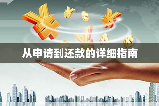 凉城从申请到还款的详细指南