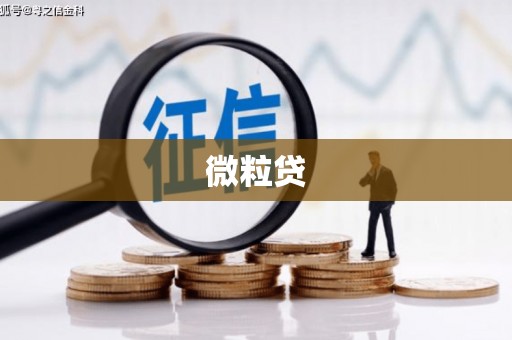凉城微粒贷