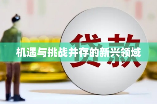 凉城机遇与挑战并存的新兴领域